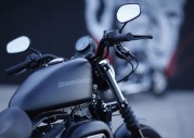 Harley-Davidson XL 883N Iron 883